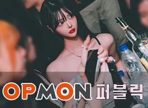 하드쩜오-14만원김프로